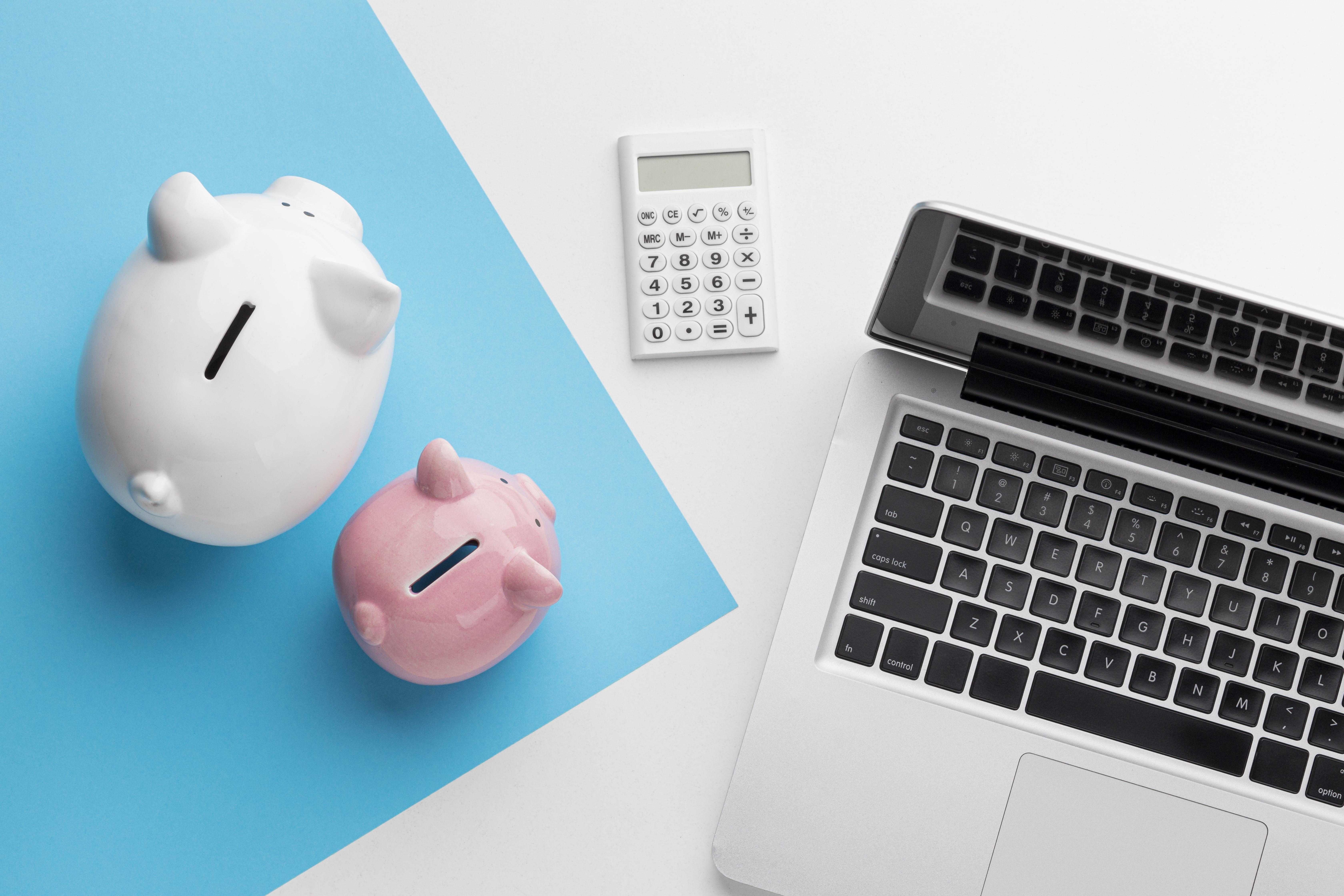 ПОЧЕМУ ДОМОХОЗЯЙСТВА ЭКОНОМЯТ И РАБОТАЮТ