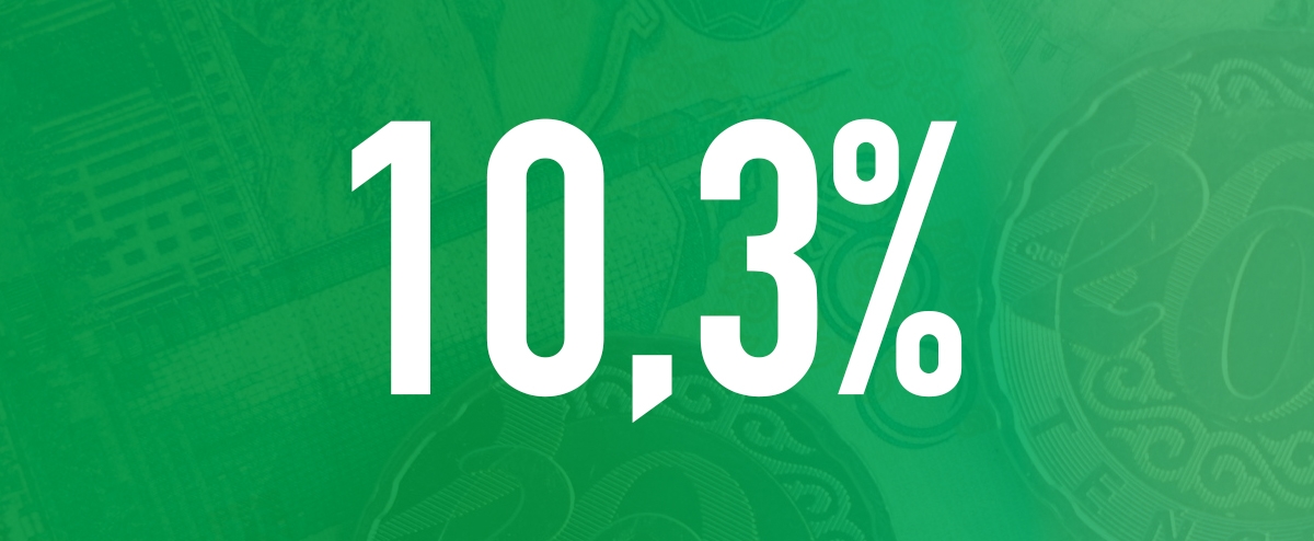 ГОДОВАЯ ИНФЛЯЦИЯ ПО ИТОГАМ НОЯБРЯ — 10,3%