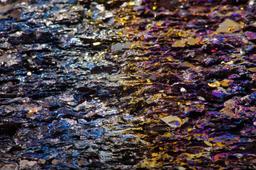 В КАРАГАНДИНСКОЙ ОБЛАСТИ ОБНАРУЖИЛИ МЕСТОРОЖДЕНИЕ РЕДКОЗЕМЕЛЬНЫХ ЭЛЕМЕНТОВ