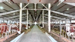 В КАЗАХСТАНЕ ЗАПУСТЯТ НОВЫЕ ЛЬГОТНЫЕ ПРОГРАММЫ КРЕДИТОВАНИЯ АГРАРИЕВ