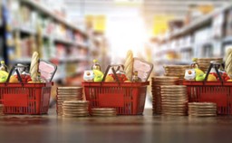 В ЯНВАРЕ ИНФЛЯЦИЯ ЗАМЕДЛИЛАСЬ И СОСТАВИЛА 9,5%