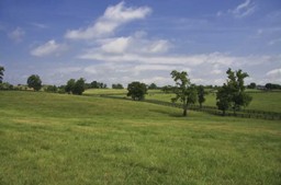 В ПАВЛОДАРСКОЙ ОБЛАСТИ ВЕРНУЛИ ПАСТБИЩА НА 5 МЛРД ТЕНГЕ