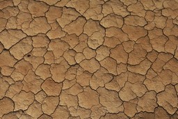 ДЕГРАДАЦИЯ ЗЕМЕЛЬ В ЦЕНТРАЛЬНОЙ АЗИИ ДОСТИГЛА 80 МЛН ГА