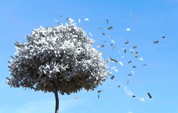 РЕСУРСНОЕ ПРОКЛЯТИЕ ЧЕРЕЗ ПРИЗМУ ПОТРЕБЛЕНИЯ