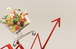 В АПРЕЛЕ ГОДОВАЯ ИНФЛЯЦИЯ ЗАМЕДЛИЛАСЬ ДО 8,7%