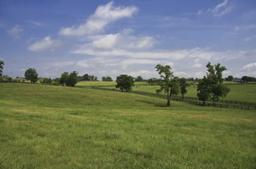 В ПАВЛОДАРСКОЙ ОБЛАСТИ ВЕРНУЛИ ПАСТБИЩА НА 5 МЛРД ТЕНГЕ