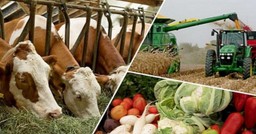 ОБЪЁМ ВП СЕЛЬСКОГО ХОЗЯЙСТВА СОСТАВИЛ 8,2 ТРЛН ТЕНГЕ ЗА 11 МЕСЯЦЕВ