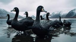 ЧËРНЫЕ ЛЕБЕДИ КАЗАХСТАНА. 10 ШОК-ПРОГНОЗОВ