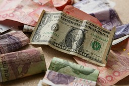 ДОЛЛАР ПРОДОЛЖАЕТ УСТУПАТЬ ПОЗИЦИИ НЕТРАДИЦИОННЫМ ВАЛЮТАМ