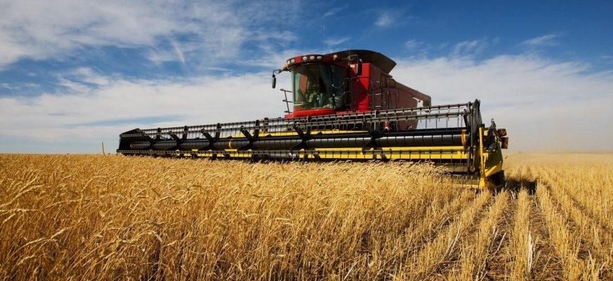 КАЗАХСТАНУ НУЖНО ОТКАЗАТЬСЯ ОТ ПШЕНИЦЫ?