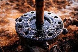 В КАЗАХСТАНЕ ПРЕДЛАГАЮТ ВНЕДРИТЬ ЭКСПОРТНЫЕ ПОШЛИНЫ НА НЕФТЬ И РУДУ