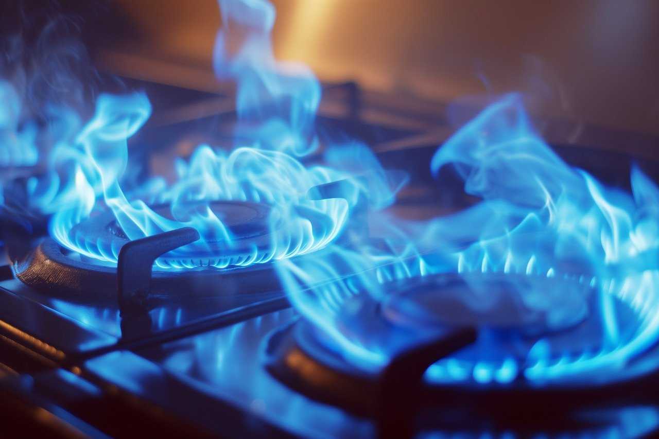 ПРЕДЕЛЬНЫЕ ЦЕНЫ НА ГАЗ ПРОДЛЕВАЮТ ДО СЕРЕДИНЫ 2025 ГОДА